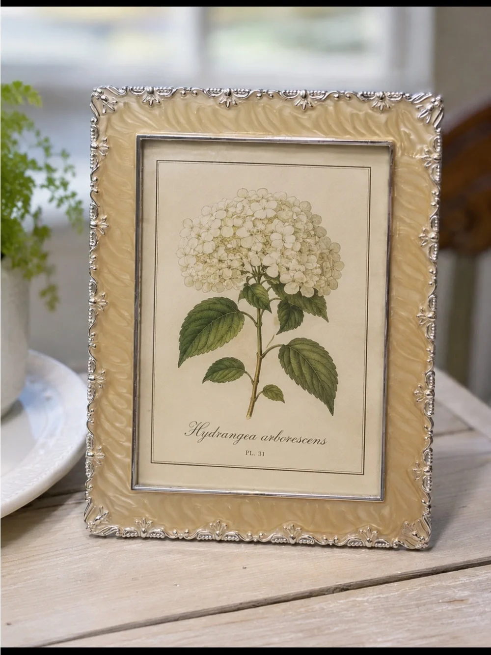 Vintage Elsal Enamel Picture Frame (ONLY) /Silver | Metal 7”x9” | Timeless |